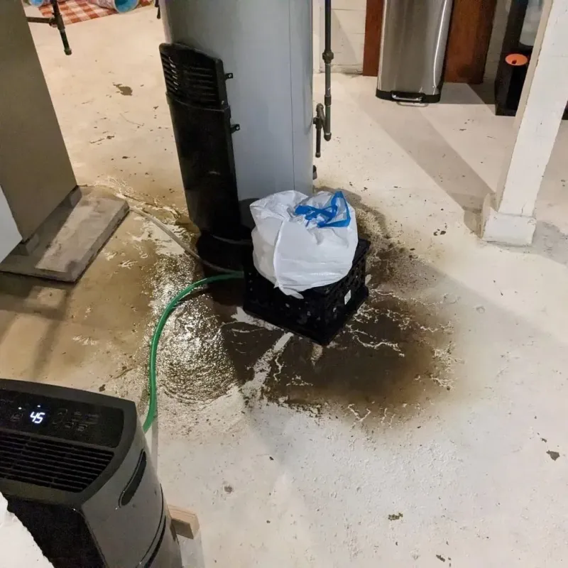 Sewage Backup Cleanup Service in Wescosville, PA